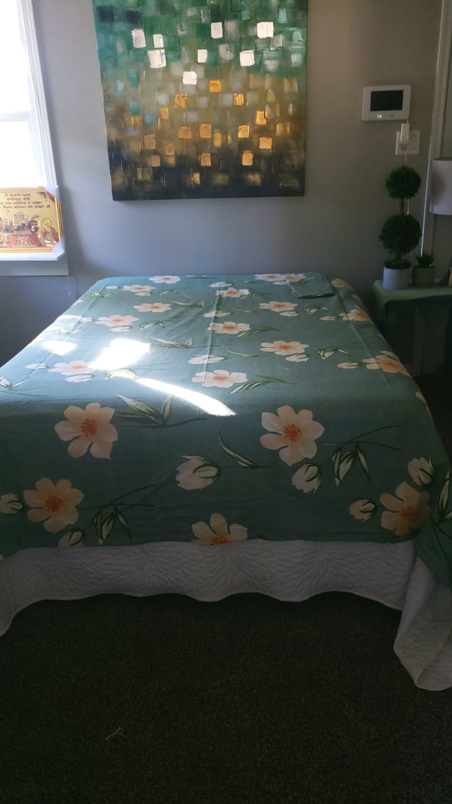 Sea Green Shade Flad Bedsheet