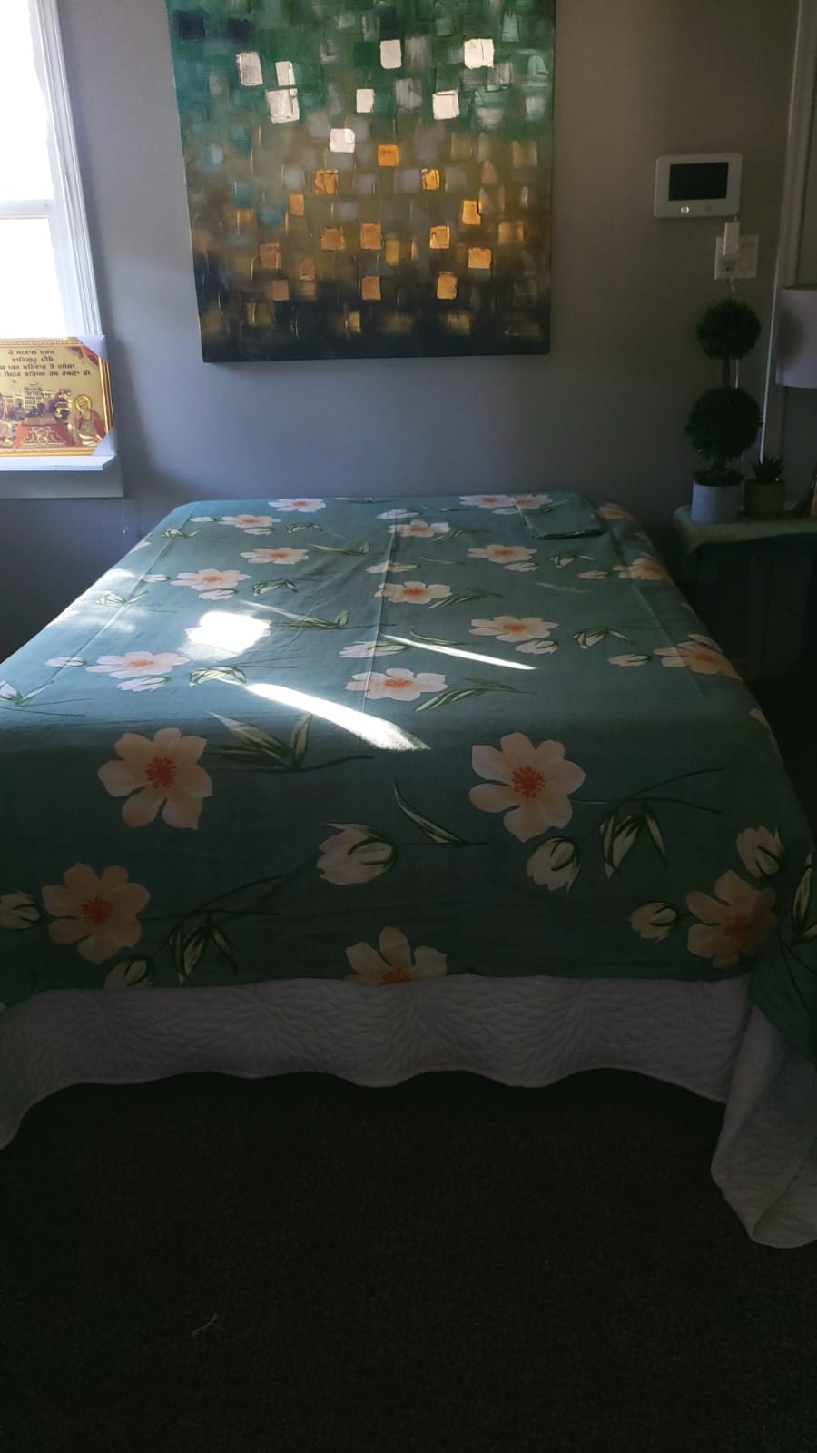 Sea Green Shade Flad Bedsheet