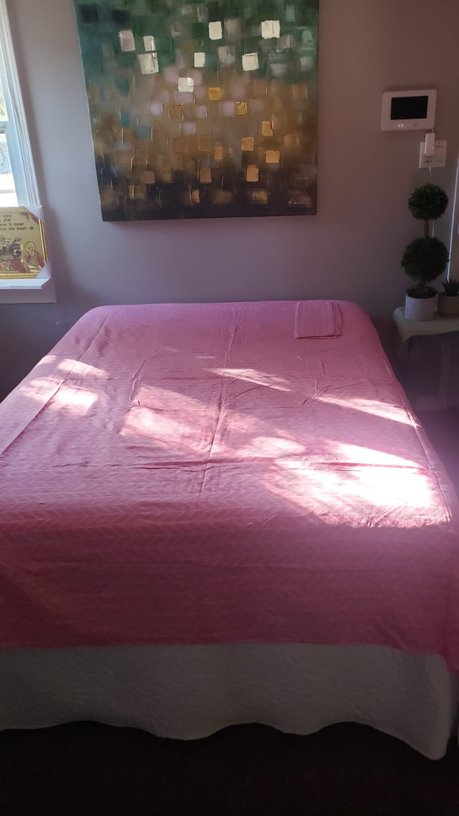 Pink Colour Flat Bedsheet